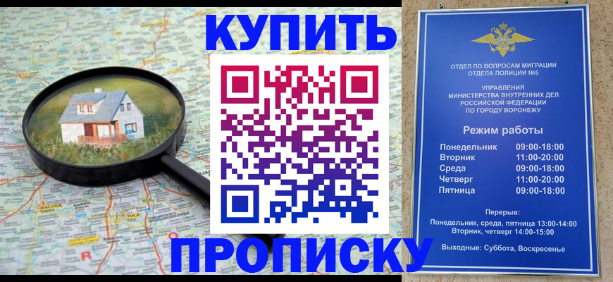 прописка поиск в Димитровграде